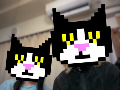 #13 we are cat